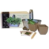 Green Arbor Chef