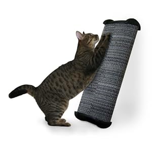 Lean-it Scratching Post Wide 20-Inch, Colors May Vary