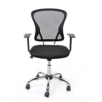 ElegantSpace® Bürostuhl EINFACH STIL Dre...