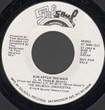 SUN AFTER THE RAIN 7 INCH (7" VINYL 45) US SALSOUL 1979