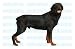   - ROTTWEILER - Dog Decal - rot sticker car got rotweiler