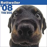 Rottweiler 2008 Calendar