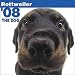   - Rottweiler 2008 Calendar