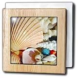 Sea Shells - 6 Inch Tile Napkin Holder