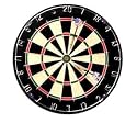 Genuine Bristle Dart Board