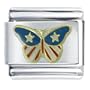 Usa Butterfly