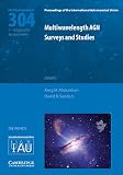 Multiwavelength AGN surveys and studies : proceedings of the 304th symposium of the International Astronomical Union held in Yerevan, Armenia, October 7-11, 2013
