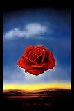 41sgRVXiOuL. SL160  Rose Meditative, c.1958 Art Poster Print by Salvador Dalí, 11x14