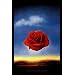 Rose Meditative, c.1958 Poster Print by Salvador Dal�, 24x36 Poster Print by Salvador Dal�, 24x36