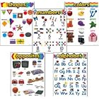 Kindergarten Basic Skills Learning Chart Combo Pack by Trend