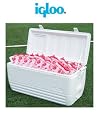 Igloo 150qt Cooler (EA)