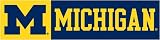 Michigan Wolverines - 8ft x 2ft Banner
