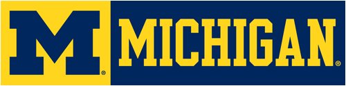 Michigan Wolverines - 8ft x 2ft Banner