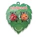 Mini-Rennspiel MINIBEASTS RACING LADYBUGS - Und los!