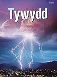 Tywydd