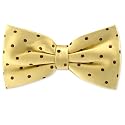 Yellow with Brown Dots Pretied Bowtie by Principessa - Yellow Silk