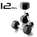 12lb Rubber Coated Hex Dumbbell