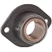 Spyraflo BFM-250-AF Self-Aligning, Delrin Acetal Plastic Bearing With 2-Bolt Hole, 1/4" Inner-Diameter Steel Flange