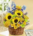 Buy Flowers Online