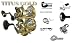 OKUMA TITUS GOLD SALTWATER FISHING REELS