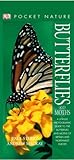 Butterflies and moths