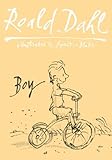 Boy: Tales of Childhood: Autobiography