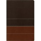 ZondervanNIVStudyBible:UpdatedEdition