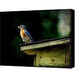 Proud Provider Canvas Print / Canvas Art - Artist Lois Bryan