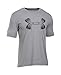 Under Armour UA ATeeV MD True Gray Heather