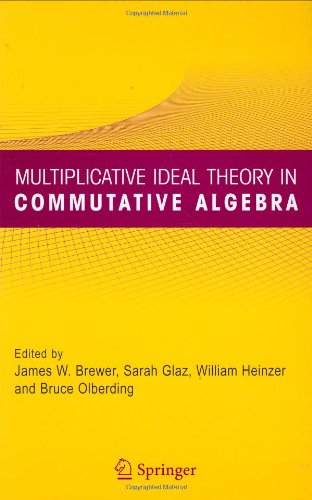 Multiplicative Ideal Theory in Commutative Algebra: A Tribute to the Work of Robert Gilmer