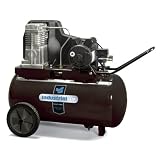 Industrial Air IP1982013 20-Gallon Belt Driven Air Compressor