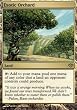 Magic the Gathering Conflux - Exotic Orchard Rare Card 142/145