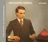 The Pleasure Principle