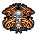 Skull Breathes Tribal Fire Dragons Sticker/Decal ~ Ghost Rider Style Decal/Sticker