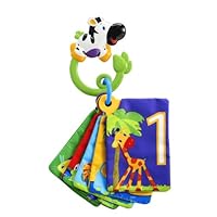 Bright Starts Jungle Fun Flash Cards