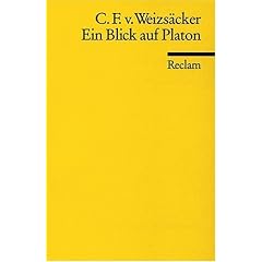 Ein Blick auf Platon: Ideenlehre, Logik und Physik
