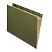 Pendaflex Essentials Hanging Folders, 25 Per Box, Straight Cut, Letter, Standard Green (81600)