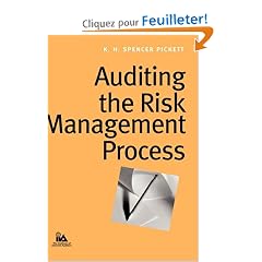 Auditing The Risk Management Process