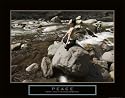 Peace: Yoga Subject Art Poster Print, 28x22