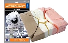 NASA公式宇宙食　アイスクリーム