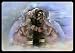 911 FIRE ANGEL #108 COMMEMORATIVES, PRINTS, LITHOGRAPHS