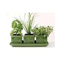 Italian Herb Garden Trio: Indoor Garden Gift Set incl. 3 planters, dip tray, seeds, peat soil pellets.