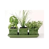 Italian Herb Trio