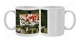 Communist style posters, Pyongyang, North Korea, Asia Photo Mugs