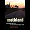 Methland: The Death and Life of an American Small Town | Aimee BenderMichael LewisNick Reding