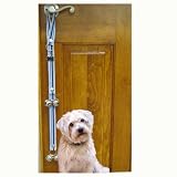 puppy behavior 41sjWJZMV3L. SL160 Puppy Behavior
