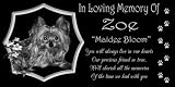 12 x 6 Lazer Gifts Personalized Black Granite Pet Memorial Marker Style Zoe