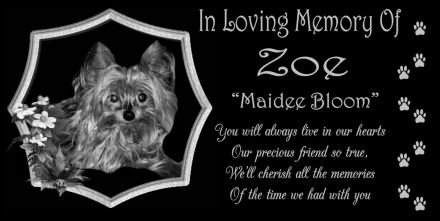 12 x 6 Lazer Gifts Personalized Black Granite Pet Memorial Marker Style Zoe