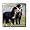 Bernese Mountain Dog - 12 Inch Glass Tile