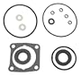 Sierra International 18-2689 Marine Lower Unit Seal Kit for Johnson/Evinrude Outboard Motor